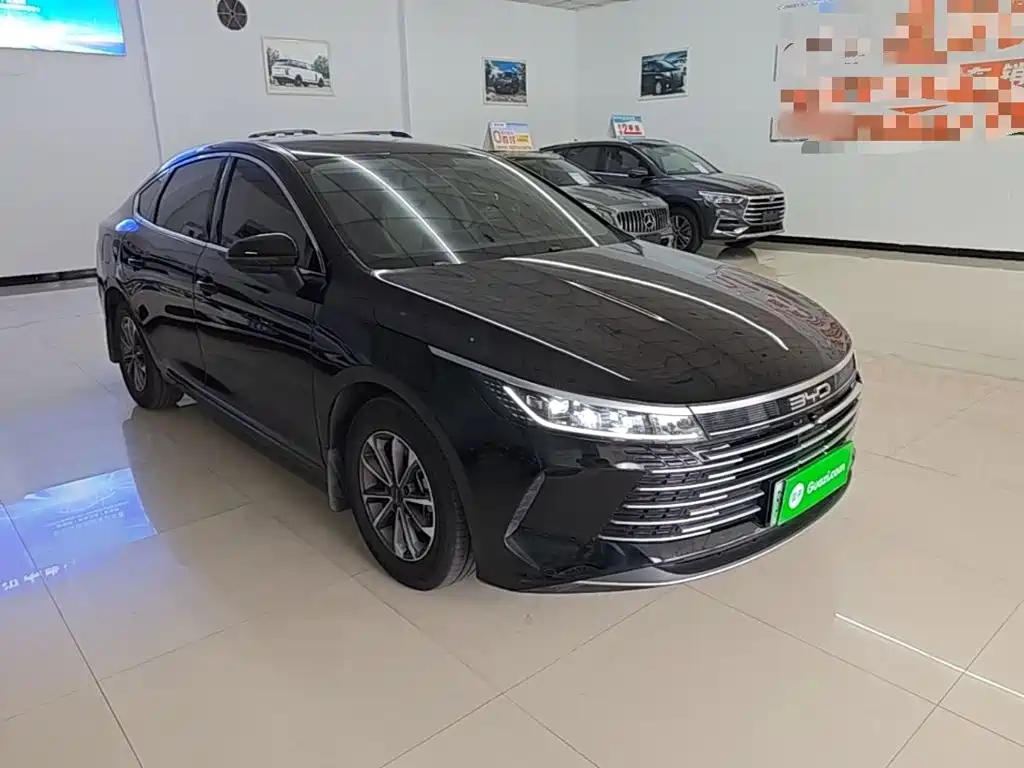 BYD Destroyer 05 2025 2024 Glory Edition DM-i 55KM Luxury