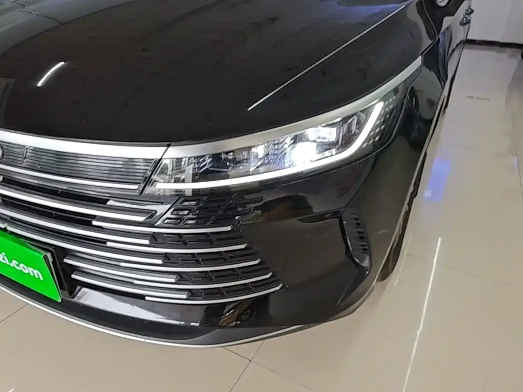 BYD Destroyer 05 2025 2024 Glory Edition DM-i 55KM Luxury