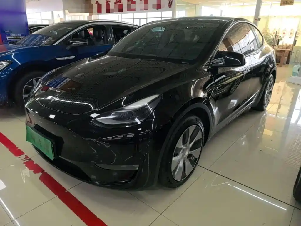 Tesla Model Y 2021 Long Range All-Wheel Drive 3D7