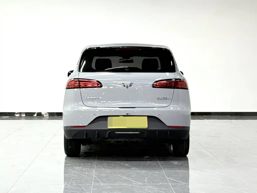 Wuling Motors Wuling Binguo PLUS 2024 2024 Model 510km Flagship Edition 4-Seater