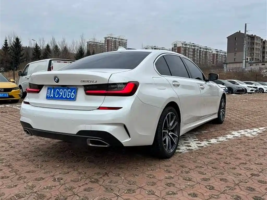 BMW 3 Series 2022 320Li M Sport Package фото 7