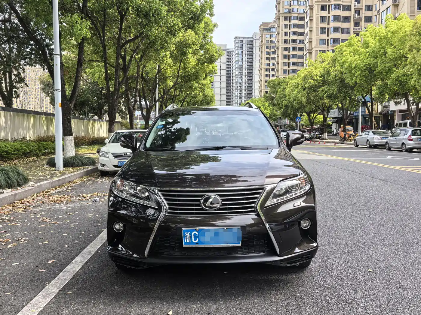 Lexus RX Classic 2013 270 Elite фото 2
