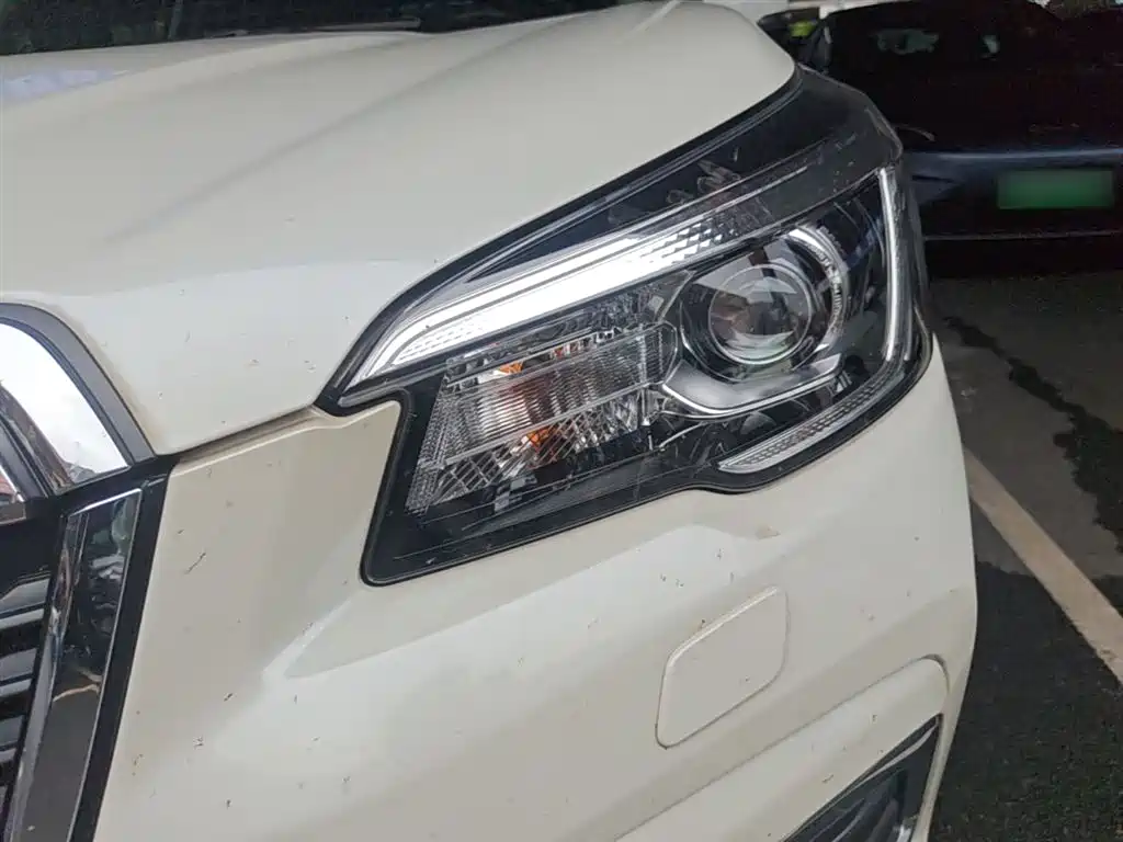 Subaru Forester 2020 2.0i Luxury Edition EyeSight фото 24