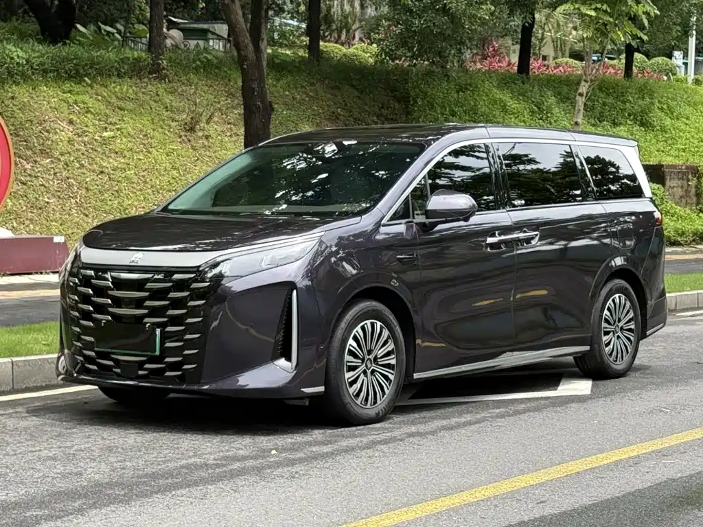 BYD Xia 2025 2025 DM-i 1.5T 100km Surpass Edition