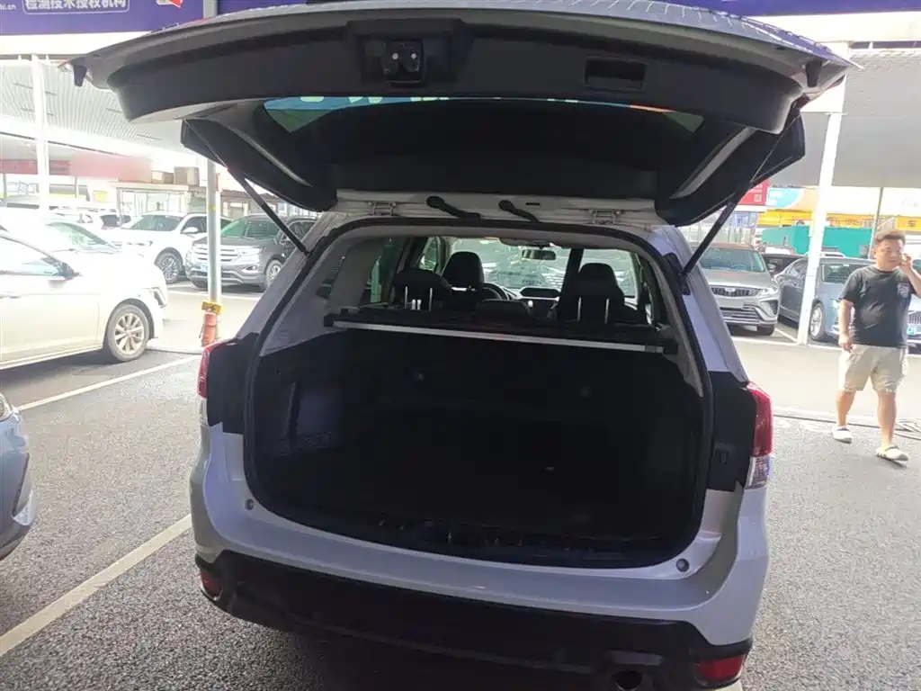 Subaru Forester 2020 2.0i Luxury Edition EyeSight фото 19