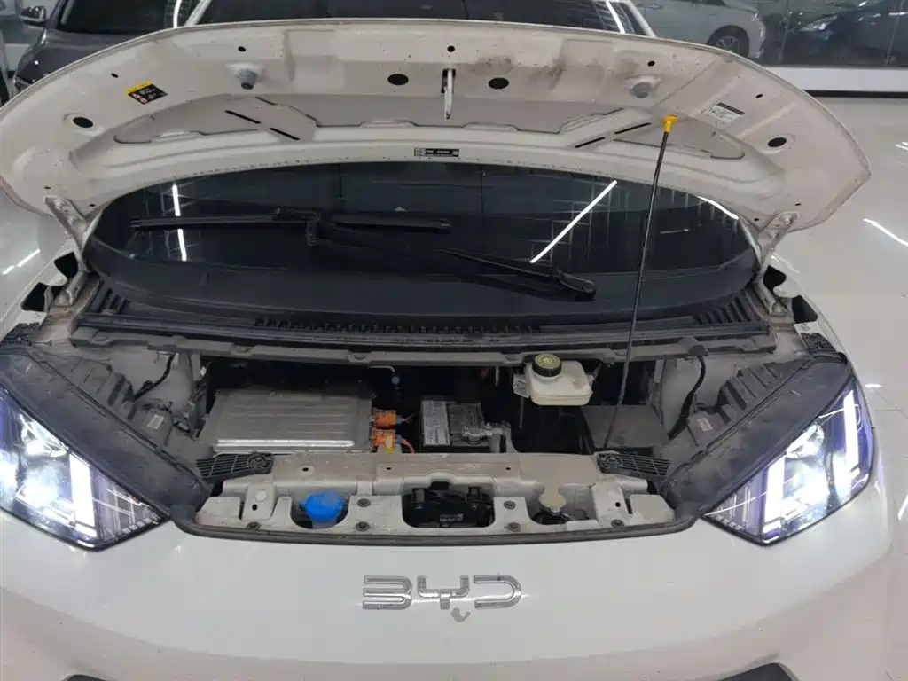 BYD Seagull 2024 Glory Edition 305km Vitality Edition фото 20