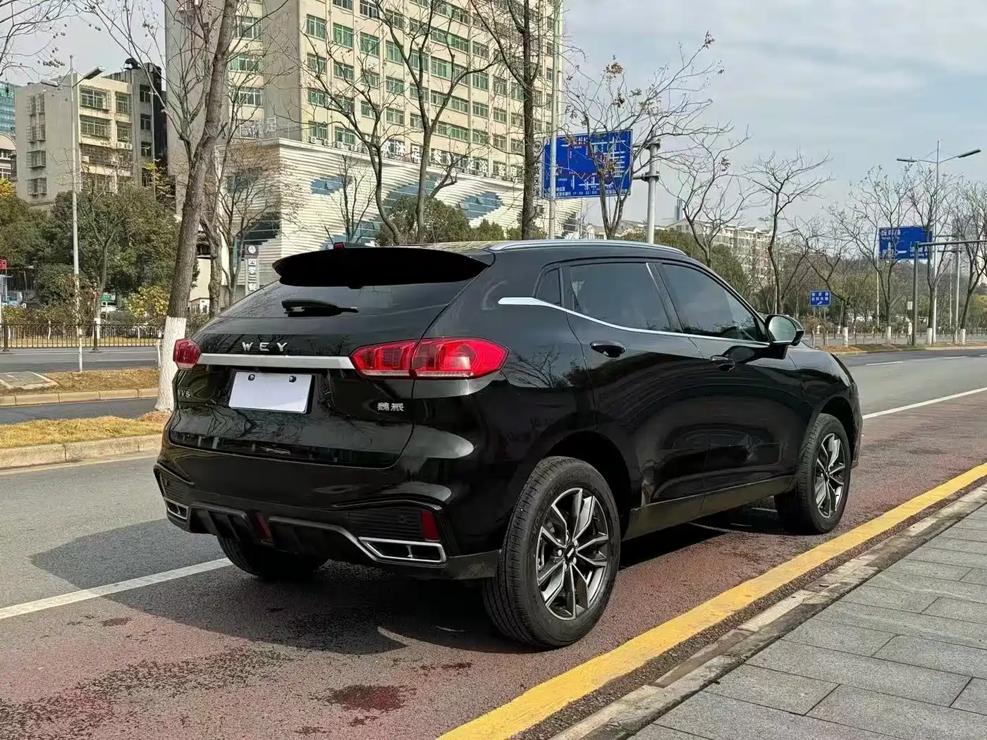 WEI PAI WEI BRAND VV5