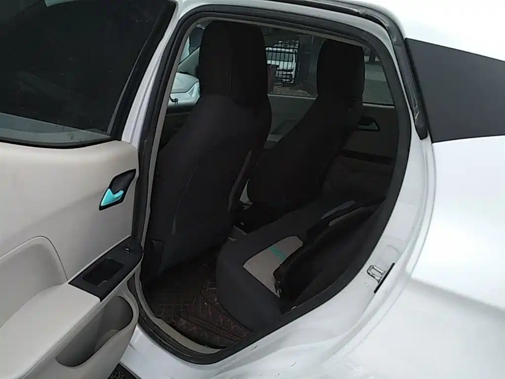 JMCG New Energy Little Kirin 2024 2024 201km Comfort Model