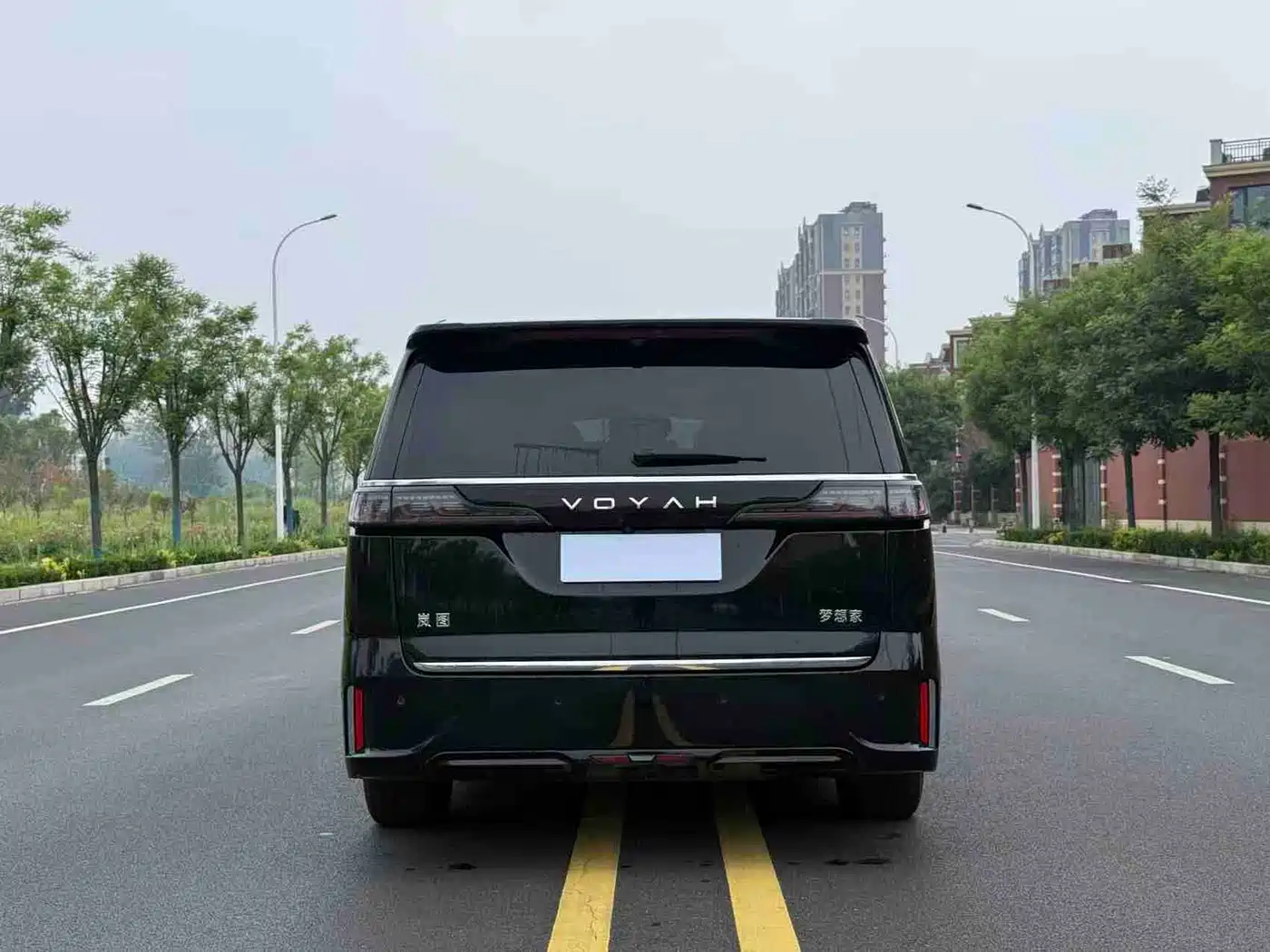 Voyah Auto Voyah Dreamer 2025 PHEV AWD Flagship Qian Kun Edition фото 8