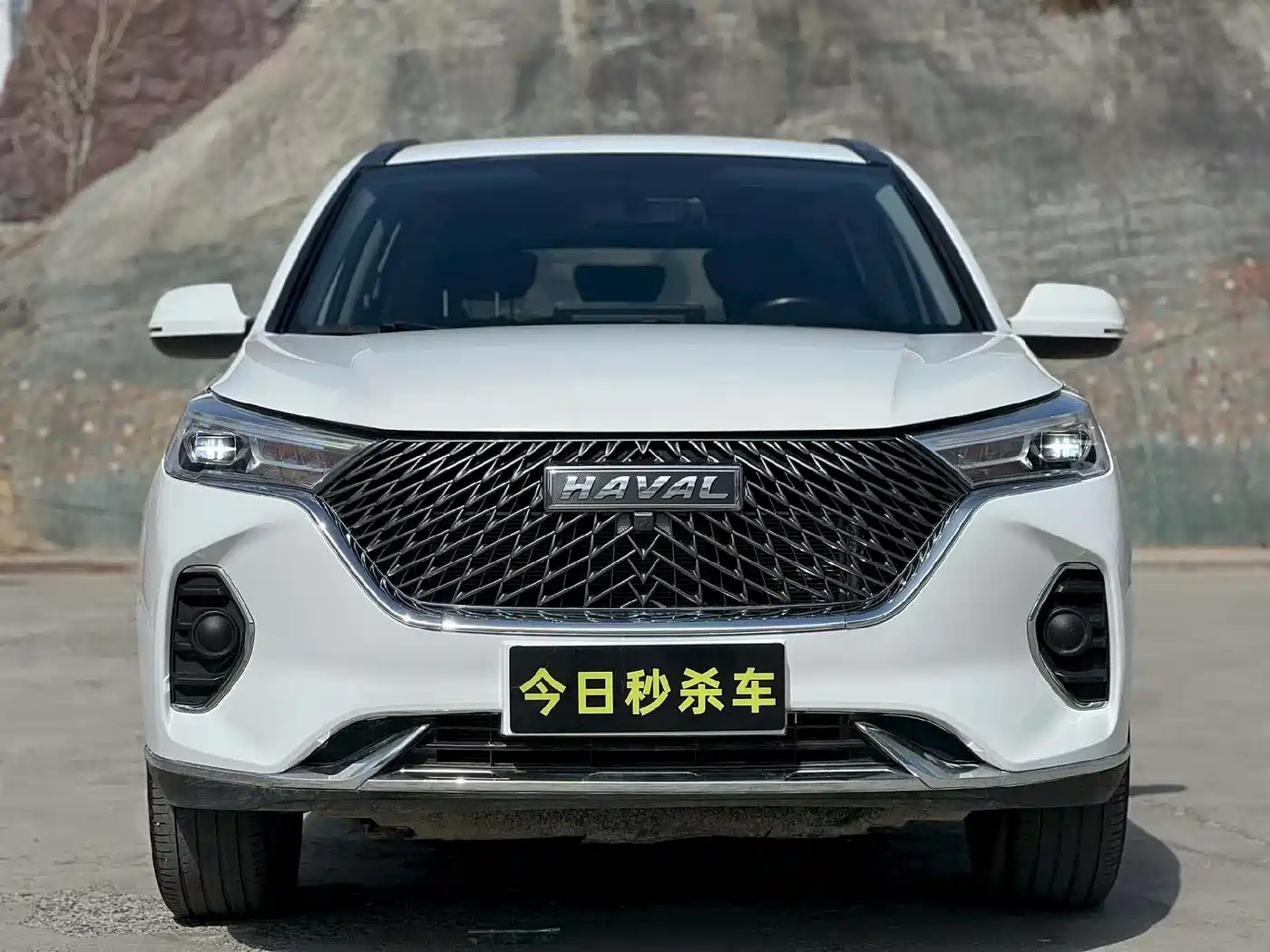 HAVAL M6