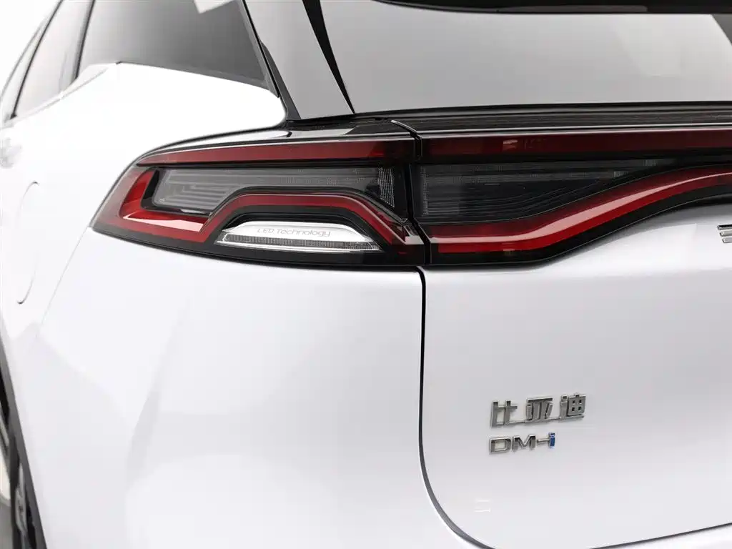 BYD Tang New Energy 2023 Model DM-i Champion Edition 112KM Deluxe фото 7
