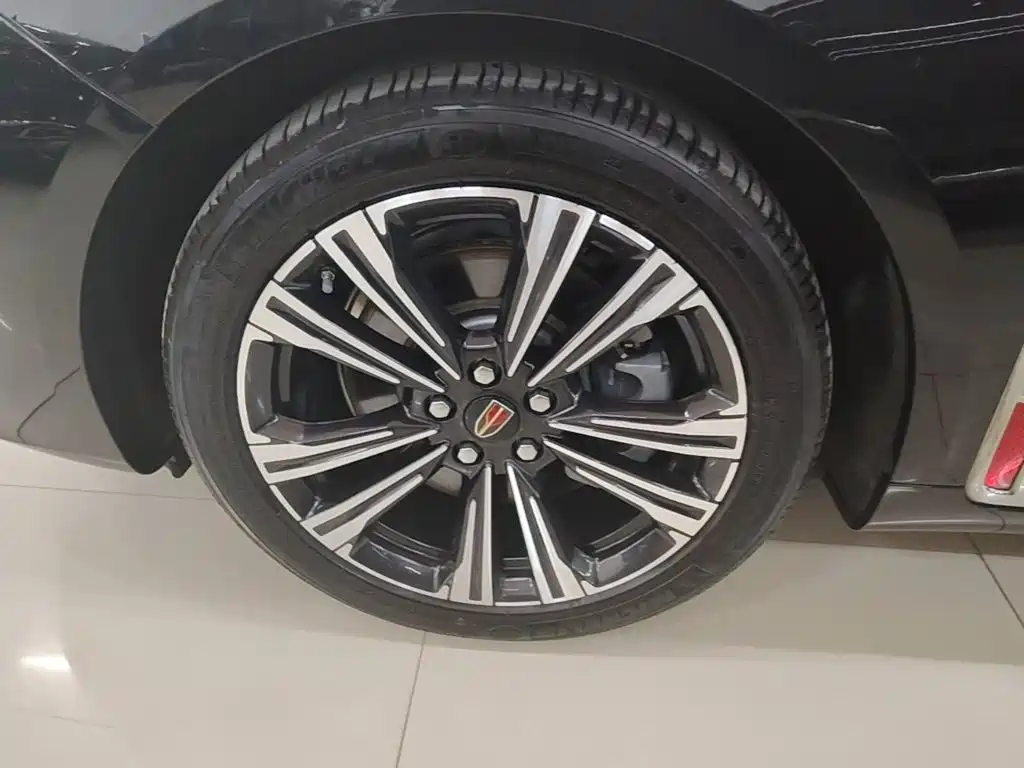 Hongqi H9 2025 2024 2.0T Qi Enjoy Private Fashion Edition