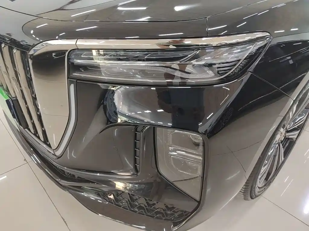 Hongqi H9 2025 2024 2.0T Qi Enjoy Private Fashion Edition