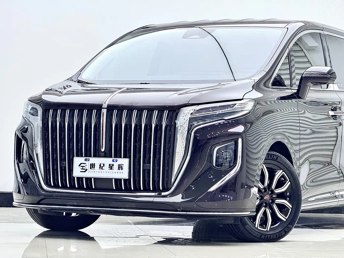 Hongqi HQ9 2023 2.0T Smart Connect Flagship фото 3