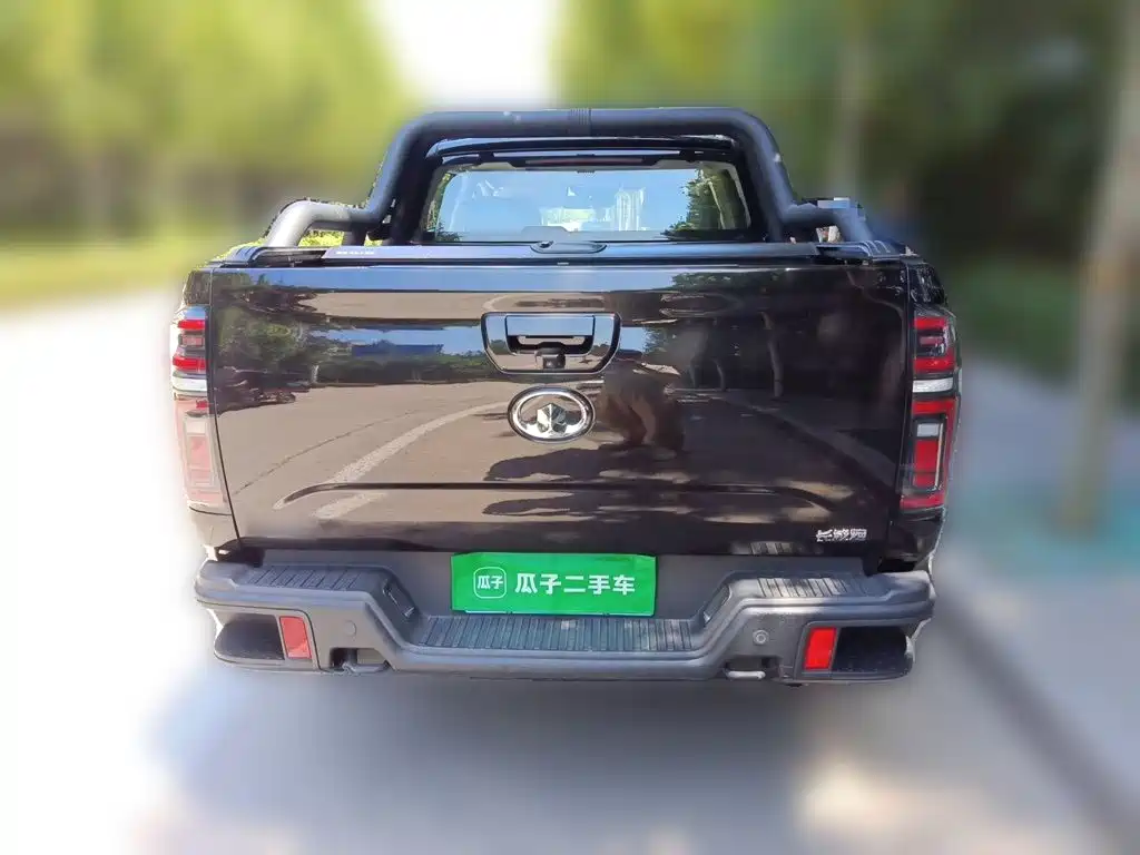 Great Wall Pao 2020 2020 2.0T Off-road Automatic Gasoline 4WD Limited GW4C20B