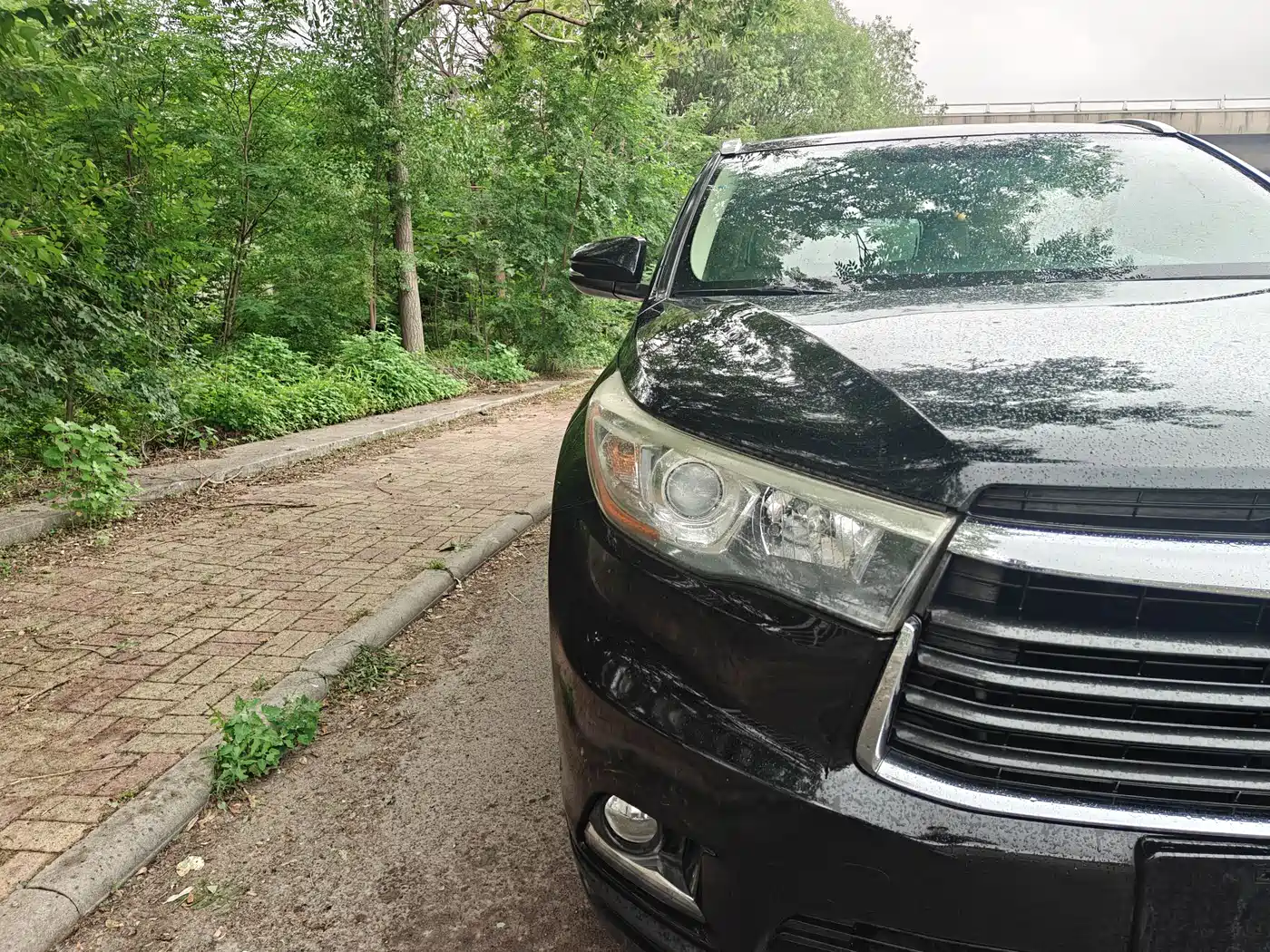 Toyota Highlander 2015 2.0T AWD Luxury Edition 7-seater фото 13