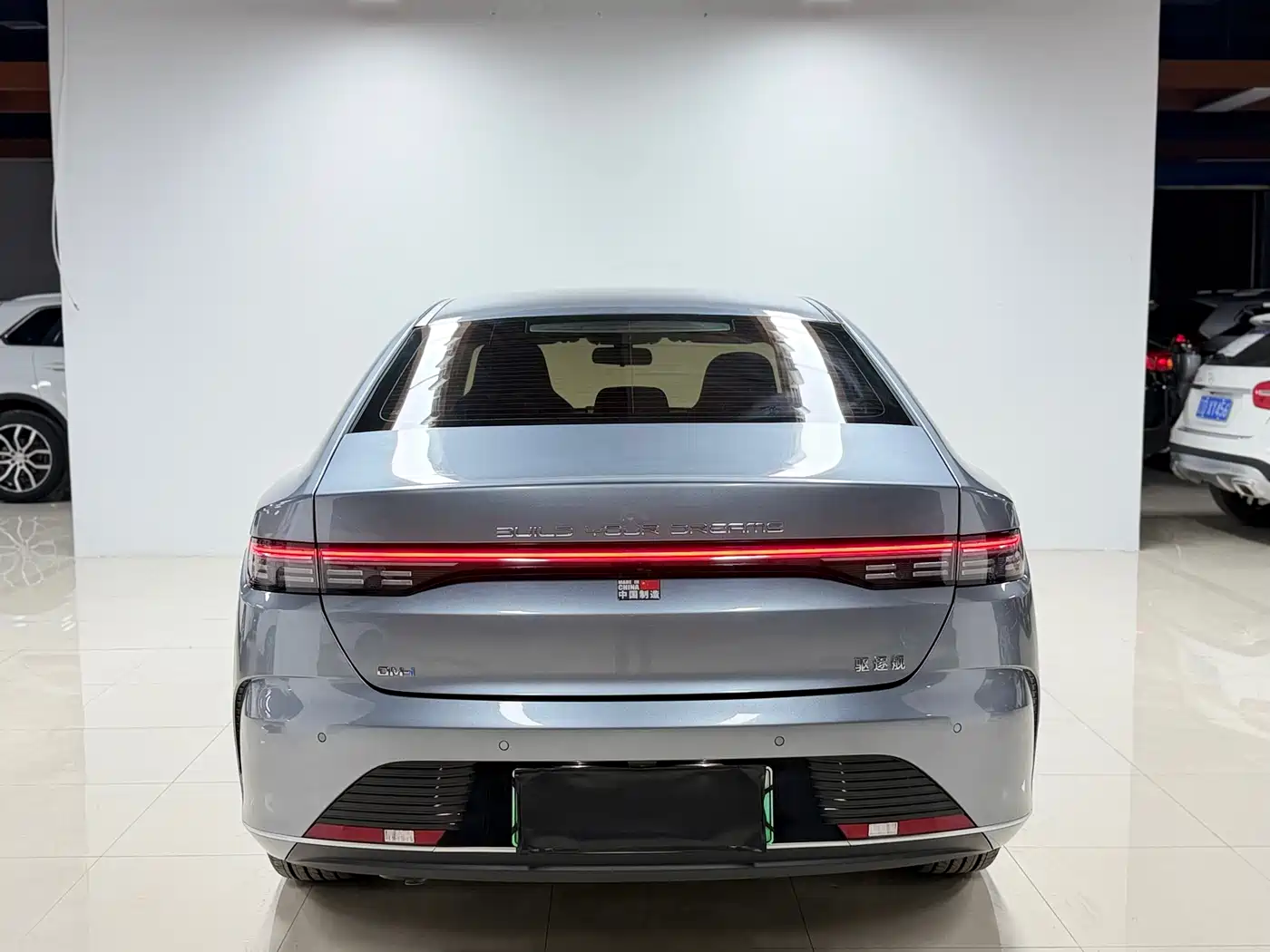 BYD Destroyer 05 2024 Glory Edition DM-i 55KM Luxury фото 4