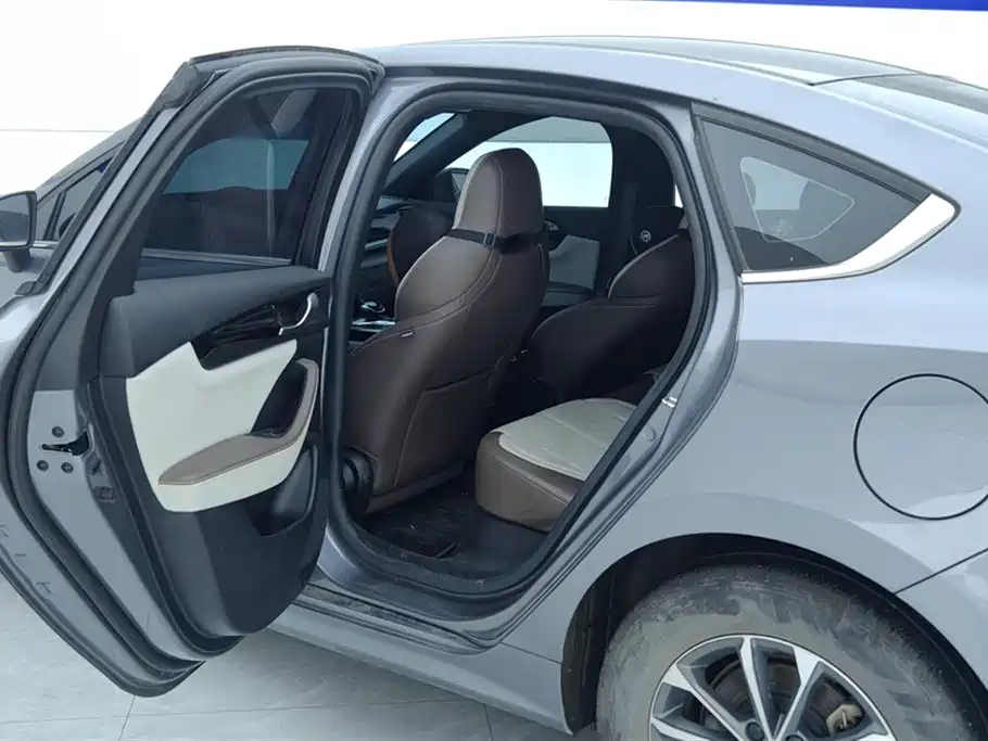 BYD Qin PLUS 2024 Glory Edition DM-i 55KM Leading фото 11