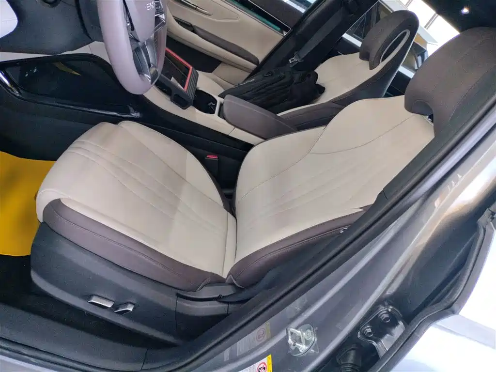 BYD Song PLUS PHEV 2025 DM-i 112KM Premium фото 11
