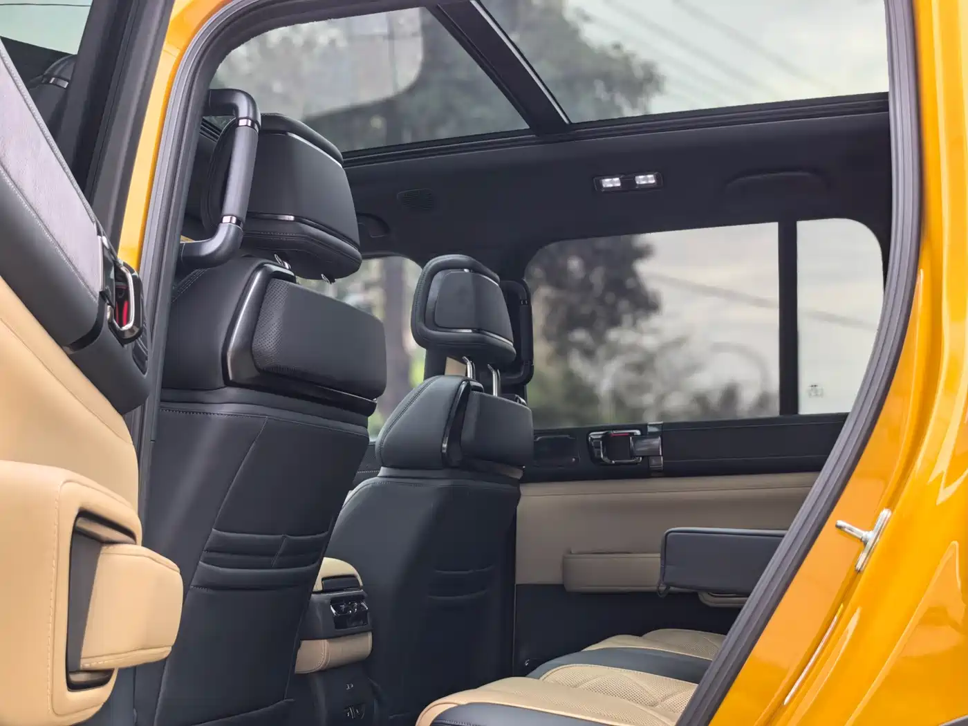 FANG CHENG BAO LEOPARD 5