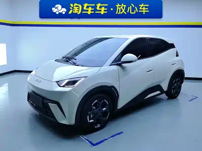 BYD Seagull