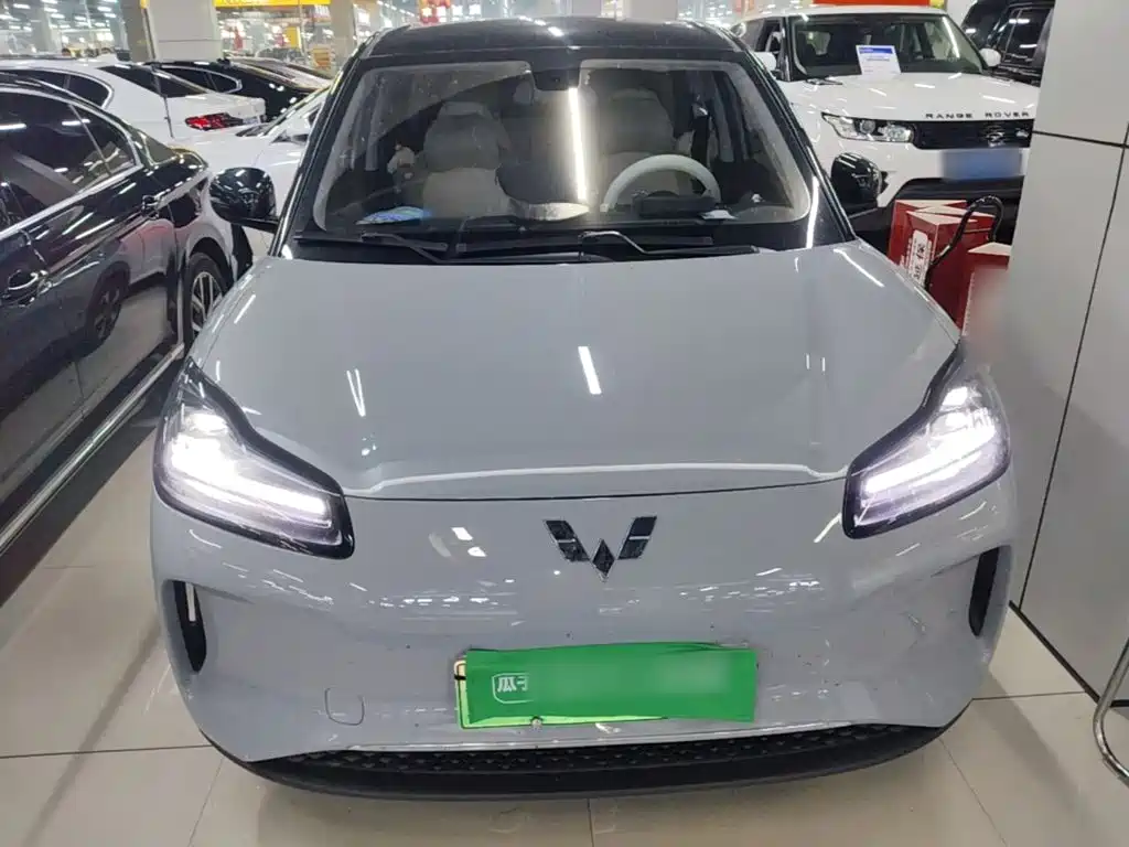 Фото 3 - Wuling Motors Wuling Binguo PLUS