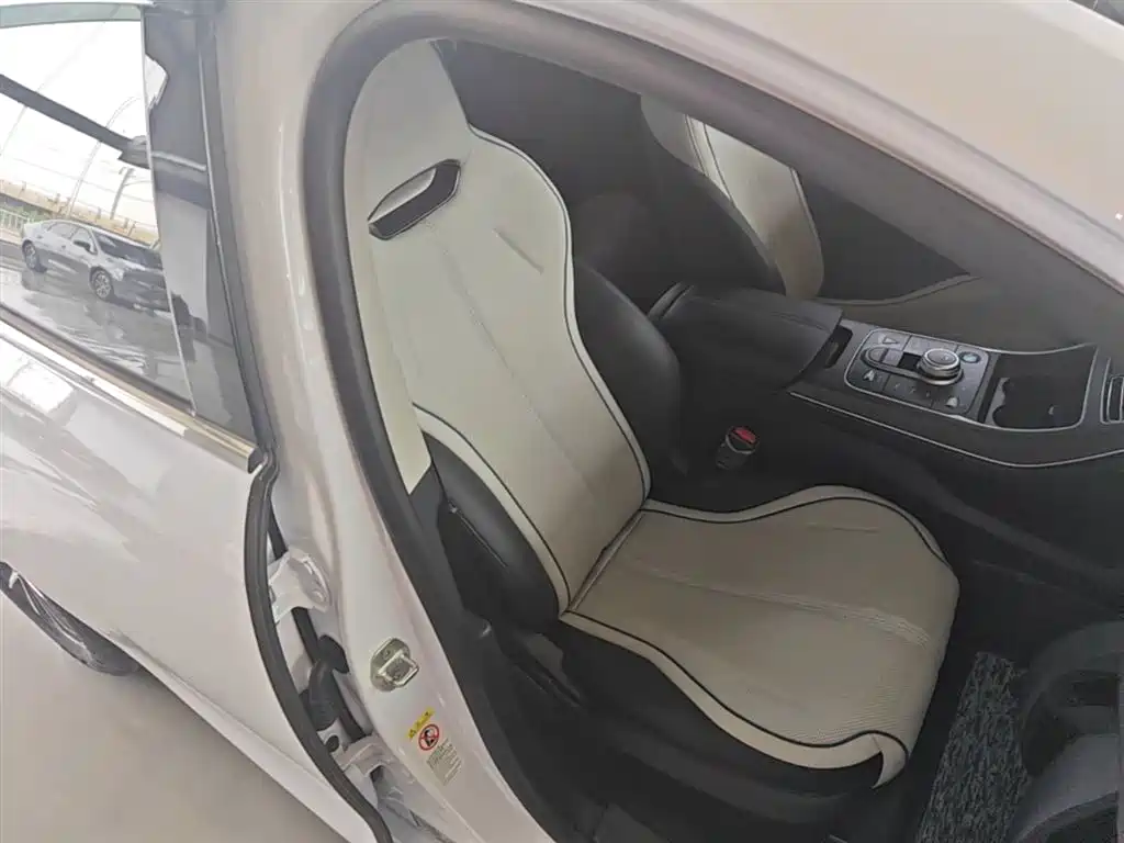 BYD Destroyer 05 2024 Glory Edition DM-i 55KM Luxury фото 25