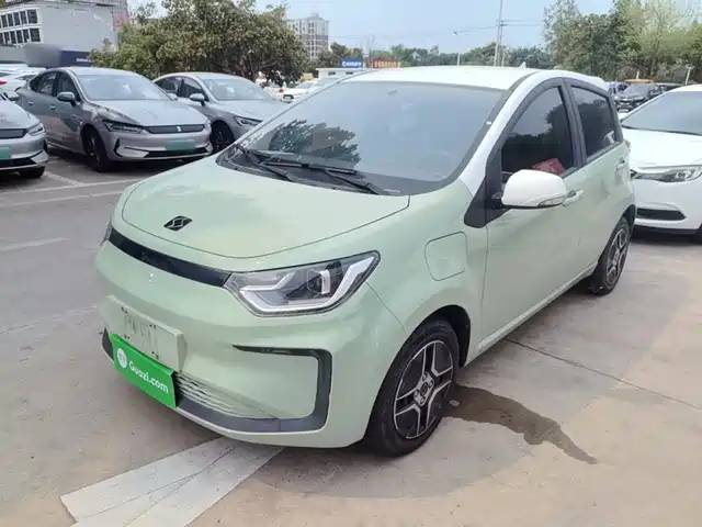 Sehol E10X Цветочная фея, Клевер