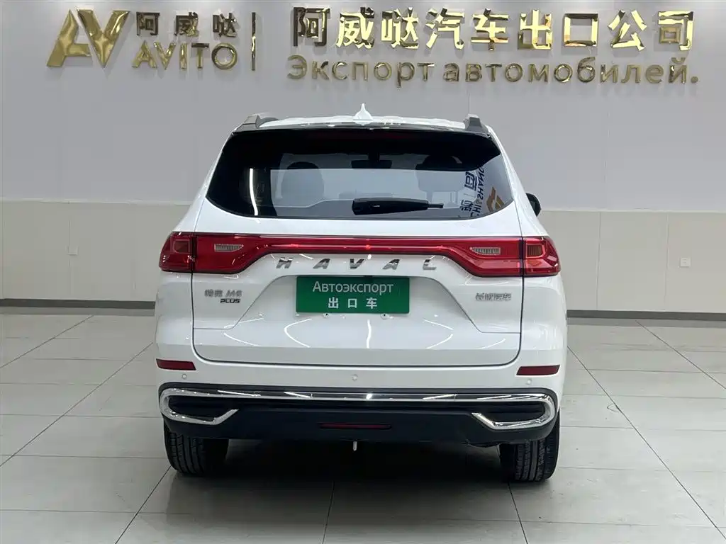 HAVAL M6