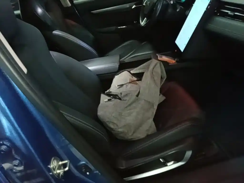 XPeng G3 2019 2019 Premium Edition
