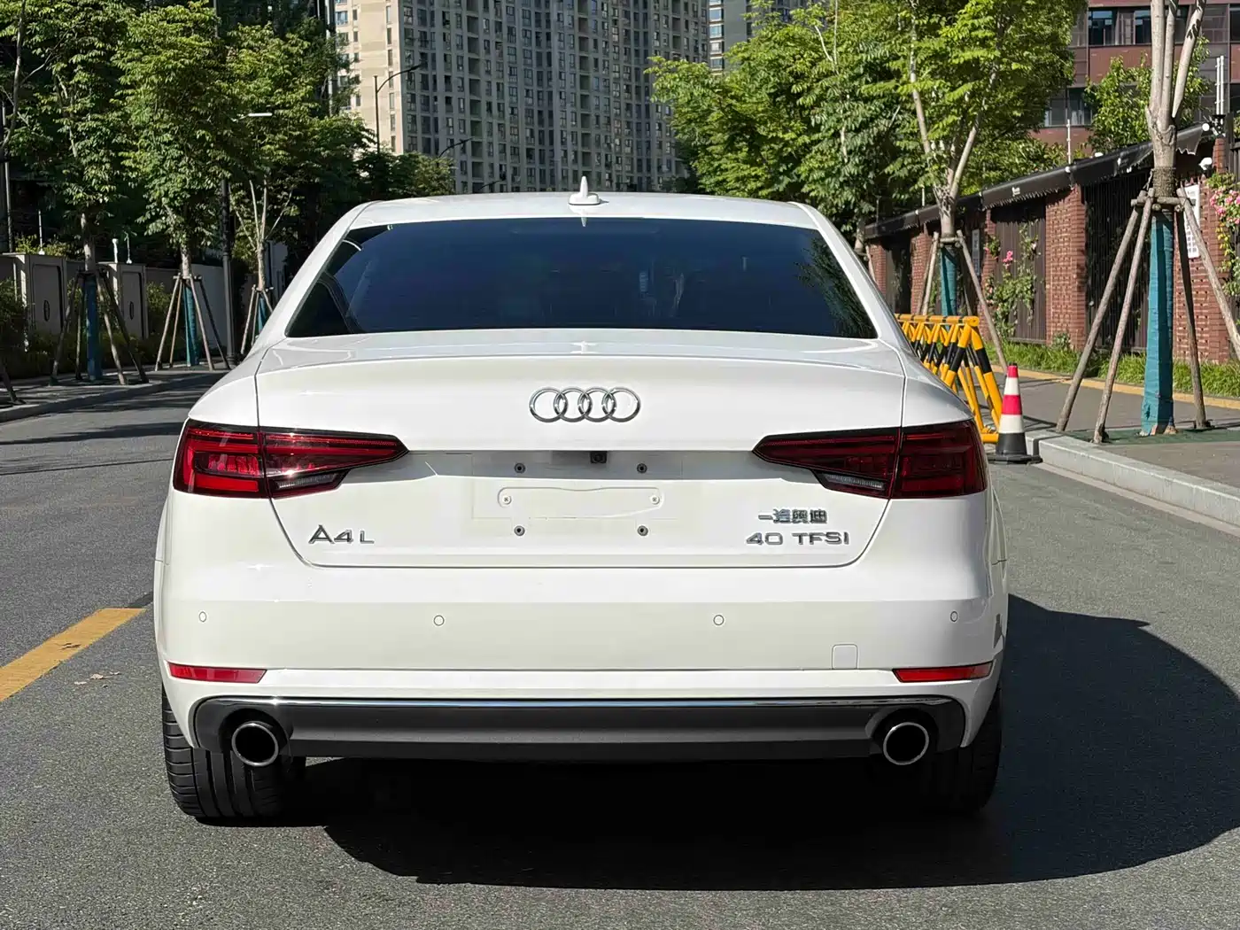 Audi A4L 2018 30th Anniversary 40 TFSI Progressive фото 16