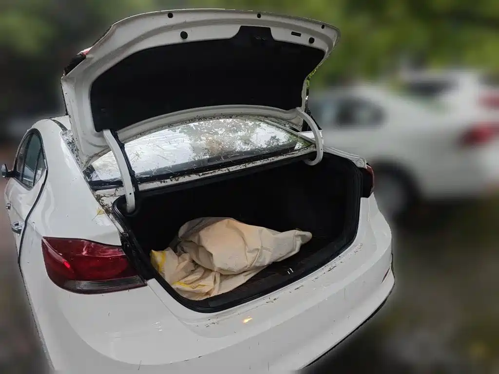 Hyundai Elantra 2016 Model 1.6L Automatic Smart Elite фото 10