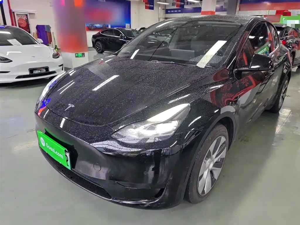 Tesla Model Y 2022 Rear-Wheel Drive Version