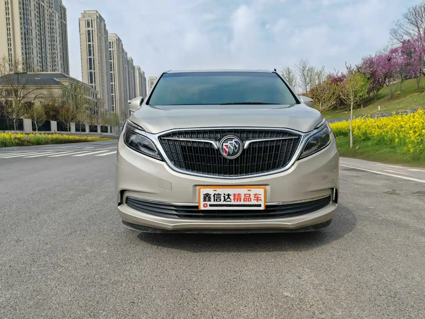 Buick GL8 2018 ES 28T Premium Type China VI фото 2