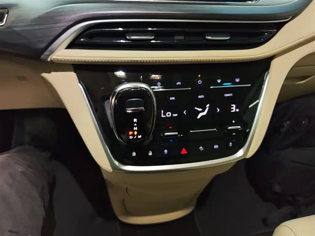 Buick GL8 2022 ES Landmark 653T Premium фото 14