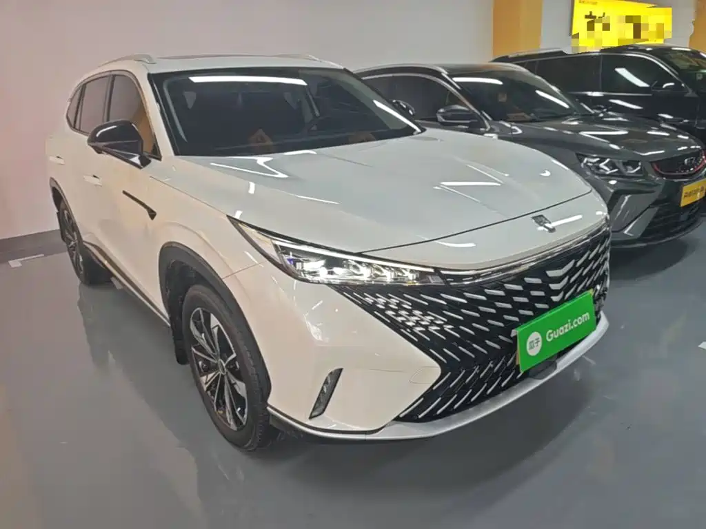 2024 Roewe RX5 New Energy