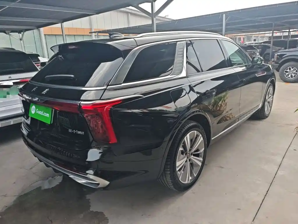 Фото 7 - Hongqi E-HS9