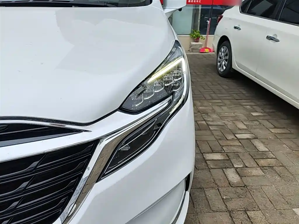 Buick GL8 2021 ES Landlord 653T Comfort фото 24