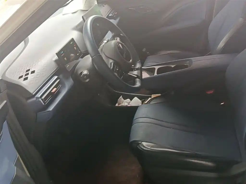 BYD Seagull 2023 Freedom Edition фото 15