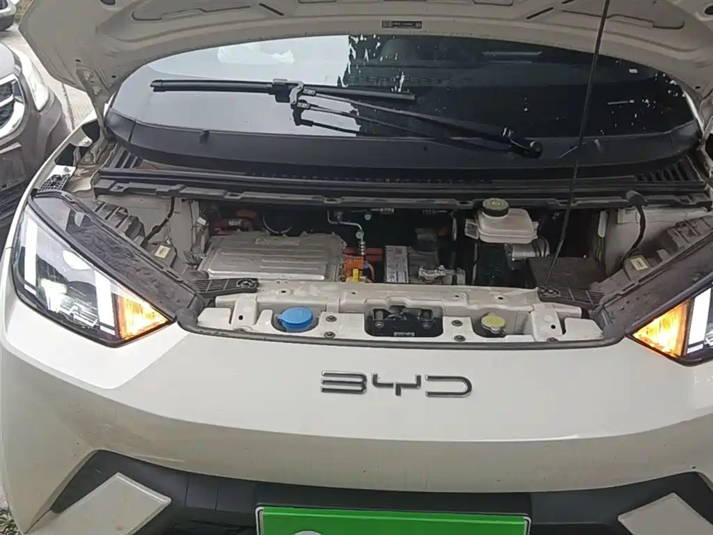 BYD Seagull 2023 Freedom Edition фото 20