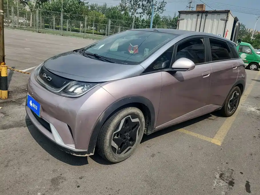 BYD Dolphin 2021