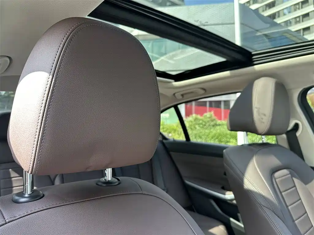BMW 3 Series 2020 325Li M Sport Black Night Package фото 19