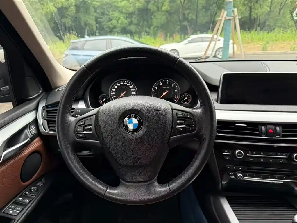 BMW X5 (Import) 2017 xDrive35i Elegance фото 13