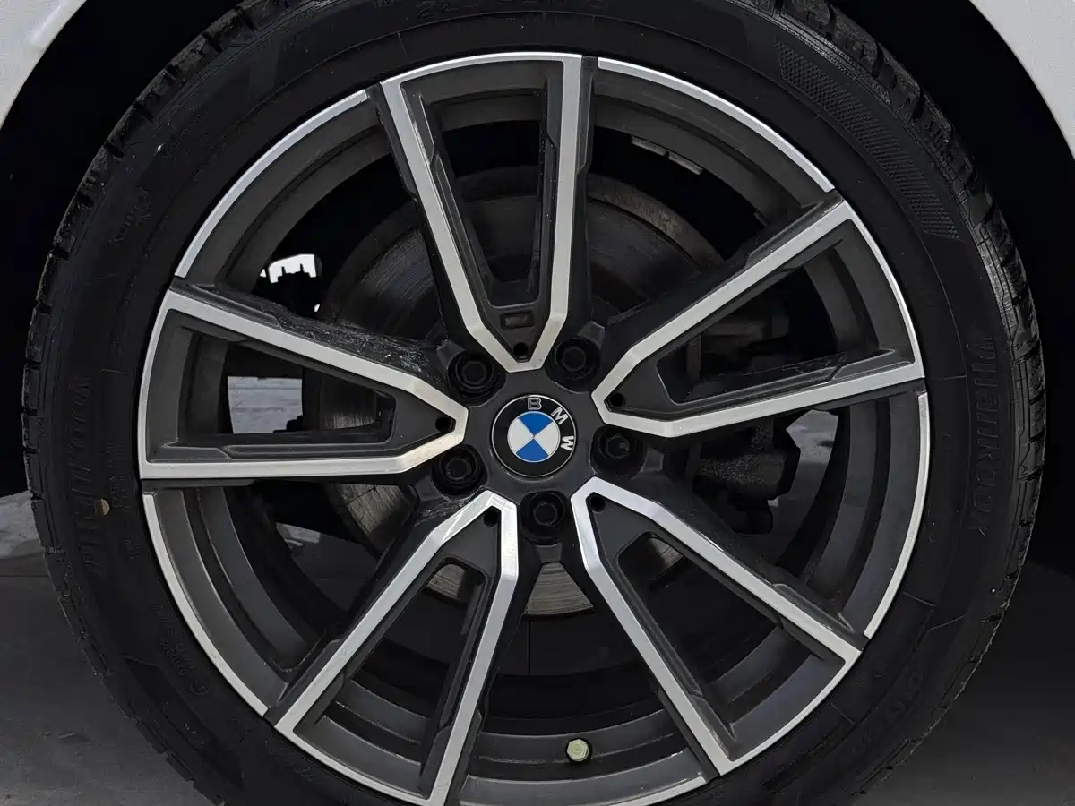 BMW 3 Series 2023 320Li M Sport Package фото 21
