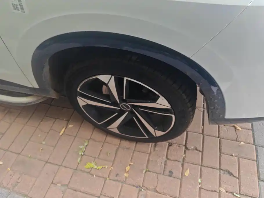 Roewe RX5 MAX 2023 2022 1.5T Auto Promising Luxury Edition