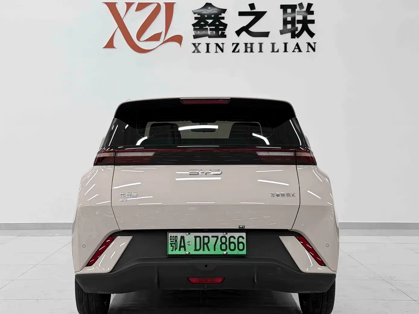 Фото 6 - BYD Seagull