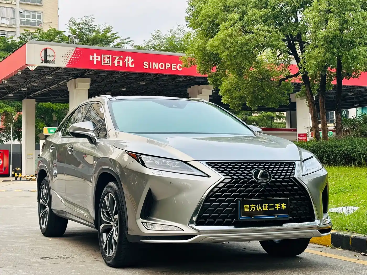Lexus RX 2020 Facelift 300 AWD Elegance Edition фото 2