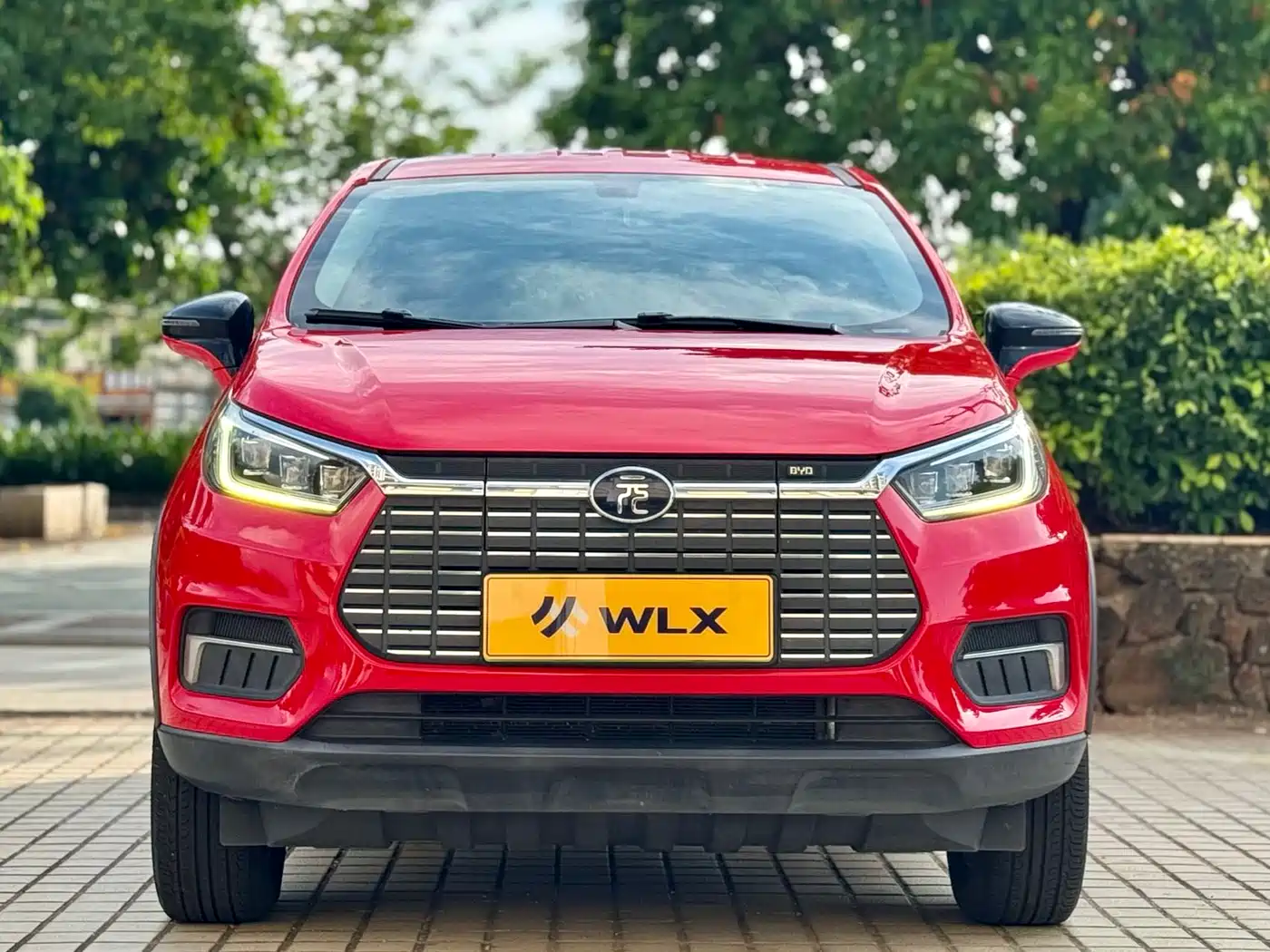 BYD Yuan New Energy 2019 EV535 Smart Connected Trend Leader Type фото 2
