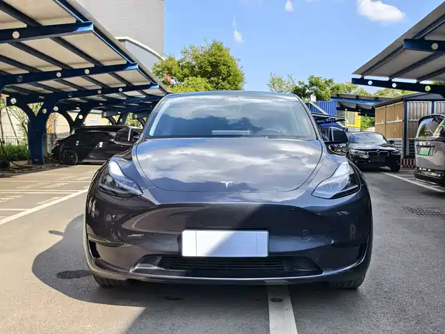Tesla Model Y 2024 Rear-Wheel Drive Version — фото 2