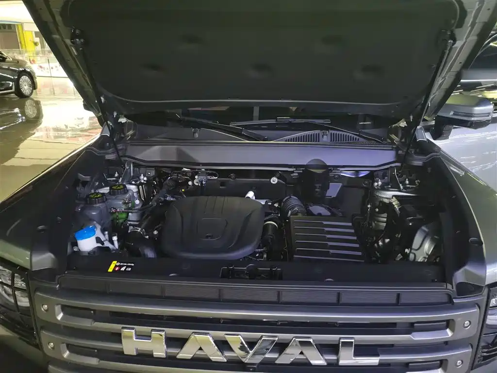 Haval Meng Long NEV 2024 Hi4 102 Pro фото 20